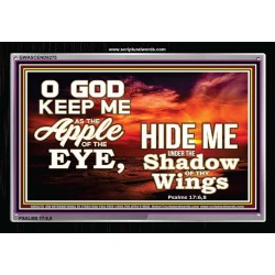 UNDER THE SHADOW OF THY WINGS   Frame Scriptural Wall Art   (GWASCEND8275)   