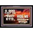 UNDER THE SHADOW OF THY WINGS   Frame Scriptural Wall Art   (GWASCEND8275)   "33x25"