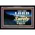 SURELY I WILL BE WITH YOU   Bible Verse Frame Online   (GWASCEND8292)   "33x25"