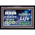 THE SON OF GOD   Custom Wall Scripture Art   (GWASCEND8398)   "33x25"