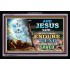 YE SHALL BE SAVED   Unique Bible Verse Framed   (GWASCEND8421)   "33x25"