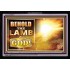 THE LAMB OF GOD   Frame Scriptural Dcor   (GWASCEND8511)   "33x25"