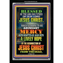 ABUNDANT MERCY   Scripture Wood Frame Signs   (GWASCEND8731)   "25x33"