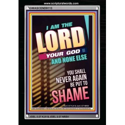 YOU SHALL NOT BE PUT TO SHAME   Bible Verse Frame for Home   (GWASCEND9113)   