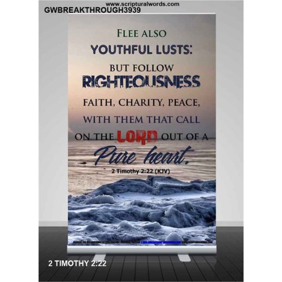 YOUTHFUL LUSTS   Bible Verses to Encourage  frame   (GWBREAKTHROUGH3939)   