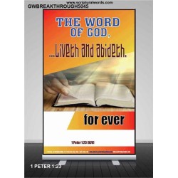 THE WORD OF GOD LIVETH AND ABIDETH   Framed Scripture Art   (GWBREAKTHROUGH5045)   