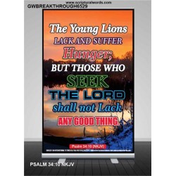 THE YOUNG LIONS LACK AND SUFFER   Acrylic Glass Frame Scripture Art   (GWBREAKTHROUGH6529)   