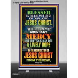 ABUNDANT MERCY   Scripture Wood Frame Signs   (GWBREAKTHROUGH8731)   
