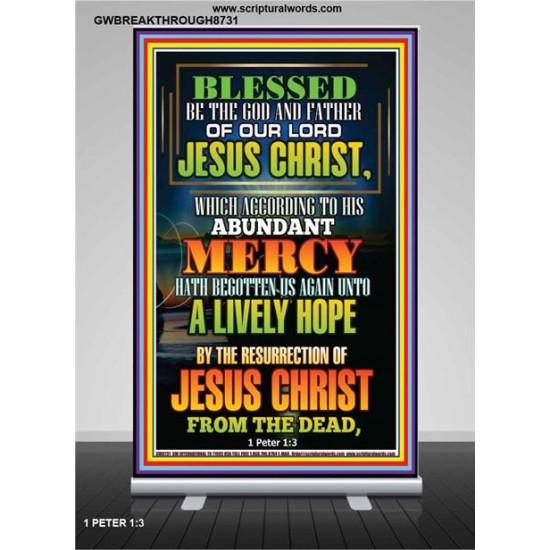ABUNDANT MERCY   Scripture Wood Frame Signs   (GWBREAKTHROUGH8731)   