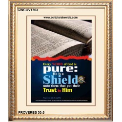 TRUST IN HIM   Scripture Art Frame   (GWCOV1763)   