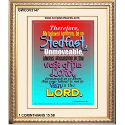 ABOUNDING IN THE WORK OF THE LORD   Inspiration Frame   (GWCOV3147)   