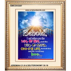 WAY OF LIFE   Biblical Art Acrylic Glass Frame   (GWCOV3307)   "18x23"