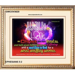 WALK IN CHRIST   Framed Scripture Dcor   (GWCOV3620)   "23X18"