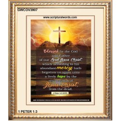ABUNDANT MERCY   Christian Quote Framed   (GWCOV3907)   