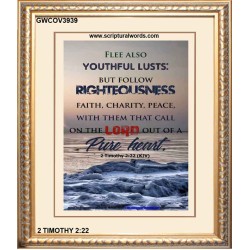 YOUTHFUL LUSTS   Bible Verses to Encourage  frame   (GWCOV3939)   "18x23"