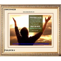 TRUST IN GOD   Framed Bible Verse   (GWCOV4228)   "23X18"