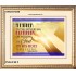 A FATHER TO THE FATHERLESS   Christian Quote Framed   (GWCOV4248)   "23X18"