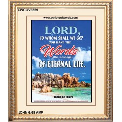 WORDS OF ETERNAL LIFE   Biblical Art Acrylic Glass Frame    (GWCOV6559)   