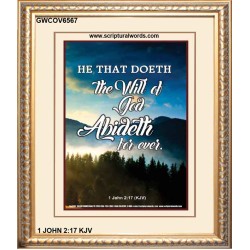 THE WILL OF GOD   Framed Picture   (GWCOV6567)   