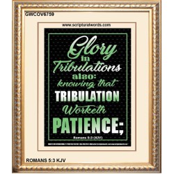TRIBULATION WORKETH PATIENCE   Scripture Wood Framed Signs   (GWCOV6759)   