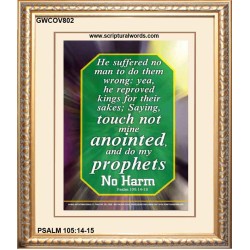 TOUCH NOT MINE ANOINTED   Bible Verse Wall Art Frame   (GWCOV802)   