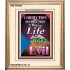 THE WAY TO LIFE   Scripture Art Acrylic Glass Frame   (GWCOV8200)   "18x23"