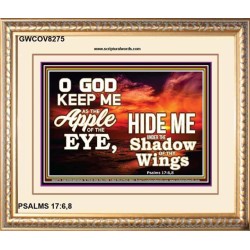 UNDER THE SHADOW OF THY WINGS   Frame Scriptural Wall Art   (GWCOV8275)   "23X18"