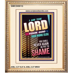 YOU SHALL NOT BE PUT TO SHAME   Bible Verse Frame for Home   (GWCOV9113)   