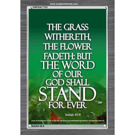 THE WORD OF GOD STAND FOREVER   Framed Scripture Art   (GWEXALT103)   