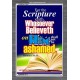 WHOSOEVER BELIEVETH   Acrylic Glass Frame Scripture Art   (GWEXALT3297)   