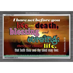 SET BEFORE YOU LIFE AND DEATH   Bible Verse Framed Art   (GWEXALT3547)   
