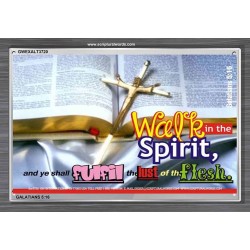 WALK IN THE SPIRIT   Framed Bible Verse   (GWEXALT3720)   "33x25"