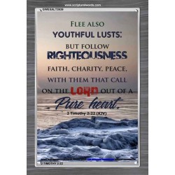 YOUTHFUL LUSTS   Bible Verses to Encourage  frame   (GWEXALT3939)   "25x33"