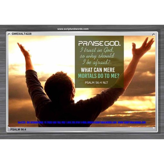 TRUST IN GOD   Framed Bible Verse   (GWEXALT4228)   