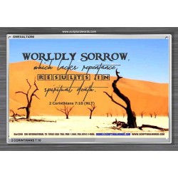 WORDLY SORROW   Custom Frame Scriptural ArtWork   (GWEXALT4390)   "33x25"