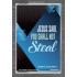 YOU SHALL NOT STEAL   Bible Verses Framed for Home Online   (GWEXALT5411)   "25x33"