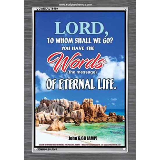 WORDS OF ETERNAL LIFE   Biblical Art Acrylic Glass Frame    (GWEXALT6559)   