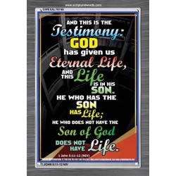 THE TESTIMONY GOD HAS GIVEN US   Christian Framed Wall Art   (GWEXALT6749)   