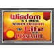 WISDOM   Framed Bible Verse   (GWEXALT6782)   