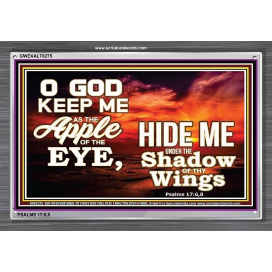 UNDER THE SHADOW OF THY WINGS   Frame Scriptural Wall Art   (GWEXALT8275)   