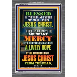 ABUNDANT MERCY   Scripture Wood Frame Signs   (GWEXALT8731)   "25x33"