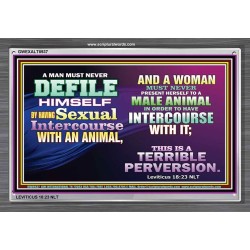 SEXUAL IMMORALITY   Portrait of Faith Wooden Framed   (GWEXALT8937)   