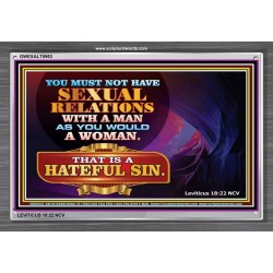 SEXUAL IMMORALITY   Kitchen Wall Dcor   (GWEXALT8953)   