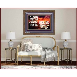 UNDER THE SHADOW OF THY WINGS   Frame Scriptural Wall Art   (GWF8275)   "45x33"