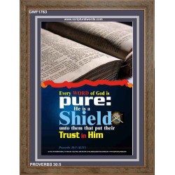 TRUST IN HIM   Scripture Art Frame   (GWF1763)   "33x45"