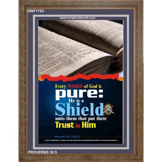 TRUST IN HIM   Scripture Art Frame   (GWF1763)   