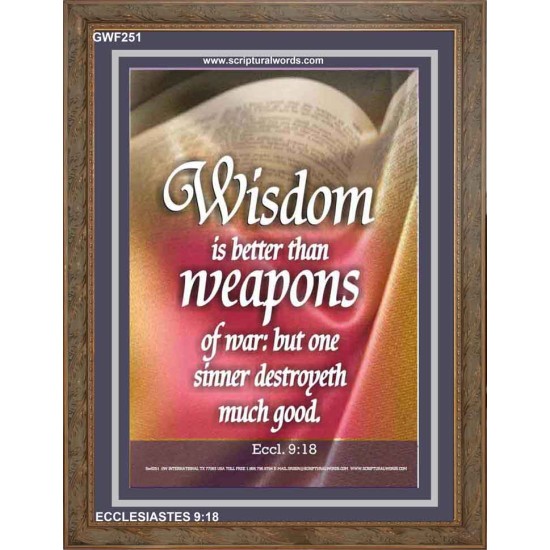 WISDOM IS BETTER THAN WEAPONS   Inspirational Wall Art Poster   (GWF251)   