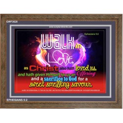 WALK IN CHRIST   Framed Scripture Dcor   (GWF3620)   "45x33"