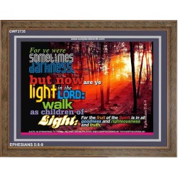 YE ARE LIGHT   Bible Verse Frame for Home   (GWF3735)   