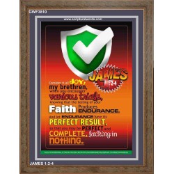 VARIOUS TRIALS   Bible Verse Frame Online   (GWF3810)   "33x45"